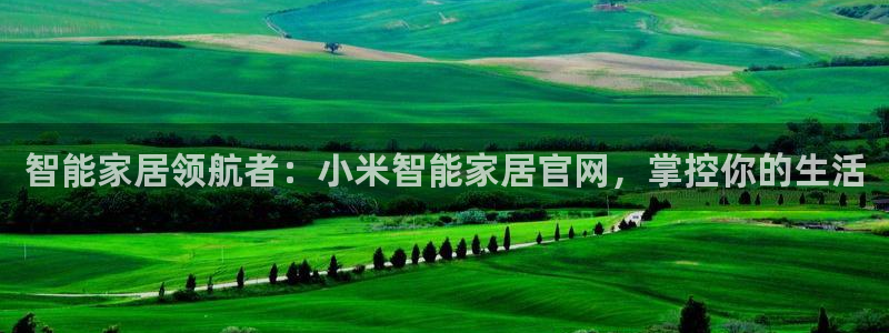 ug环球正网买分