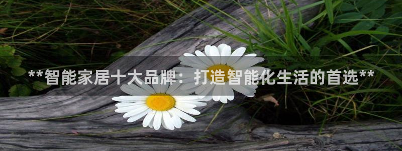 ug环球360