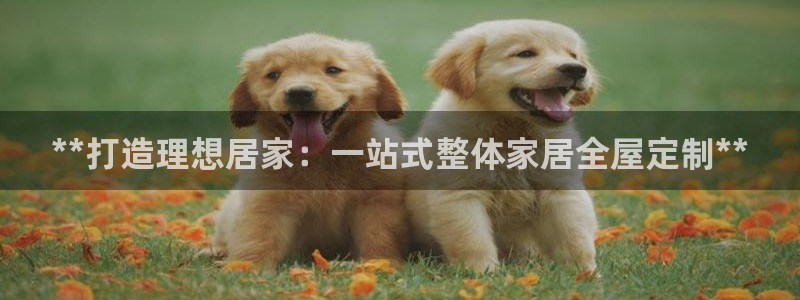 UG环球官网