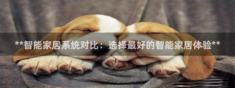 ug环球视讯真假