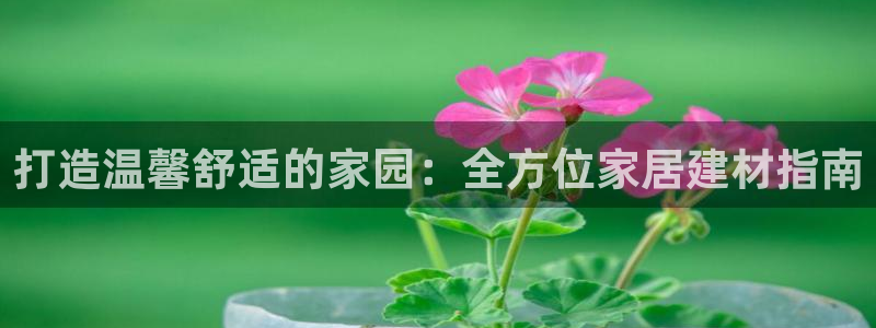 ug环球正网买分