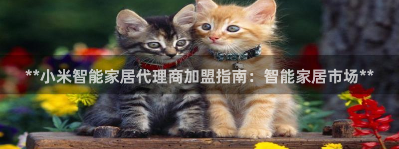 ug环球360代理