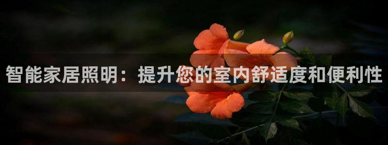 ug环球密码重置是多少位数