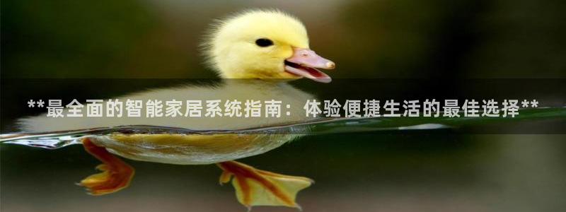 ug环球正网一比一