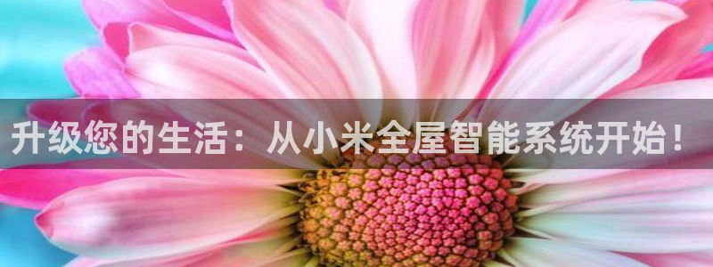 ug环球360代理