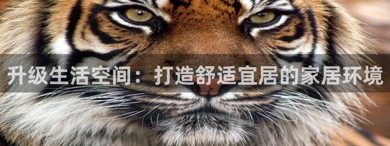 UG环球官网