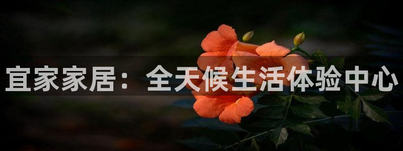 UG环球假网一比一包杀网：宜家家居：全天