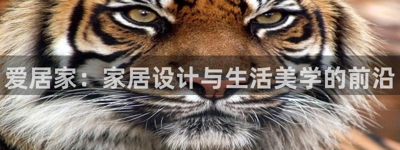 ug环球会员