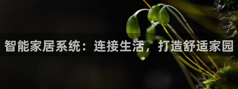 ug环球凯发