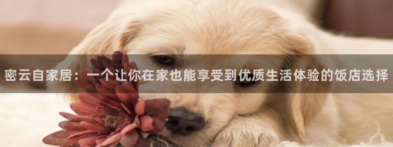 ug环球app下载