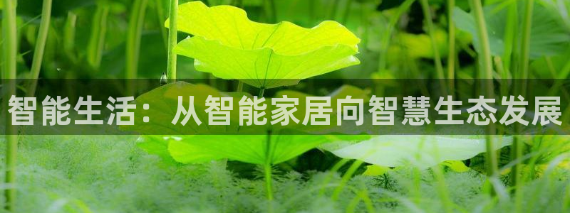 ug环球官网登录入口