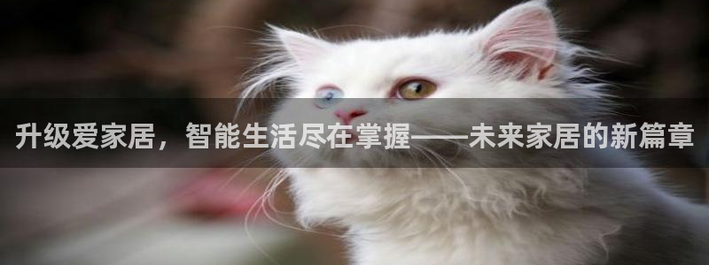 ug环球会员手机版下载