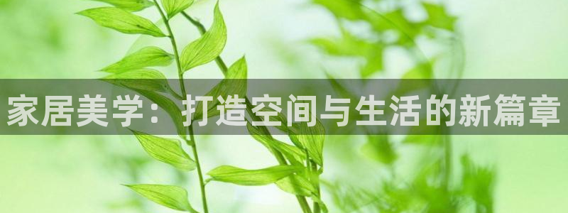 ug环球国际买分