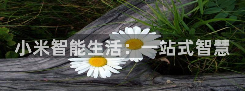 ug环球游戏网站官网