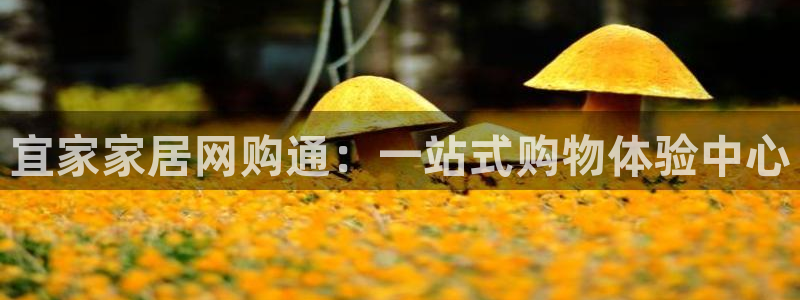 ug环球买分卖分