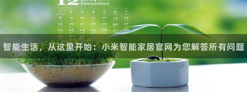 ug环球密码重置是多少位数啊