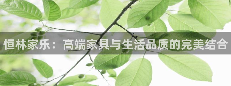 ug环球正网包杀