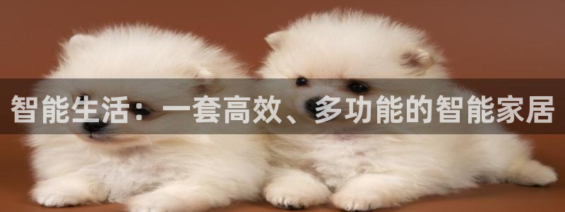ug环球代理合作