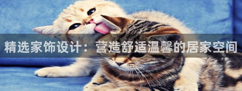 ug环球官网会员注册