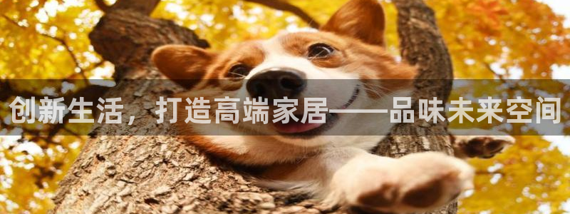 Ug环球私网一比一