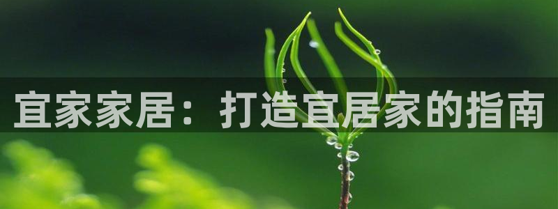 ug环球平台：宜家家居：打造宜居家的指南
