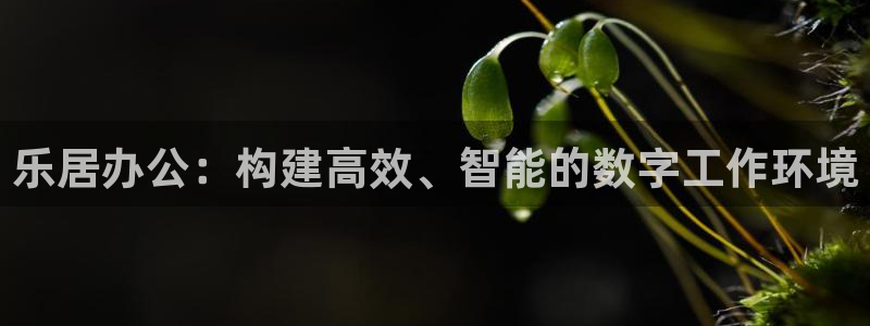 ug环球代理平台官网：乐居办公：构建高效