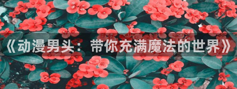 一念永恒动漫在线观看樱花动漫